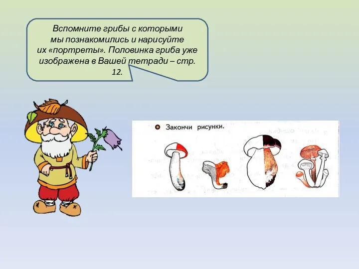 Вспомните грибы с которыми мы познакомились и нарисуйте их «портреты». Половинка