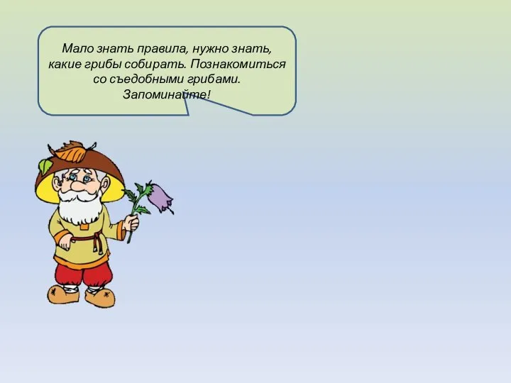 Мало знать правила, нужно знать, какие грибы собирать. Познакомиться со съедобными грибами. Запоминайте!