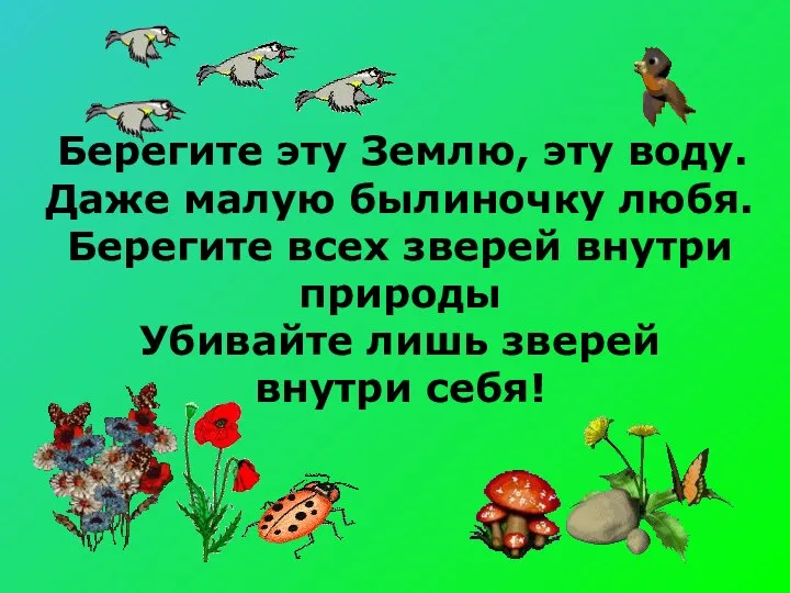 Берегите эту Землю, эту воду. Даже малую былиночку любя. Берегите всех