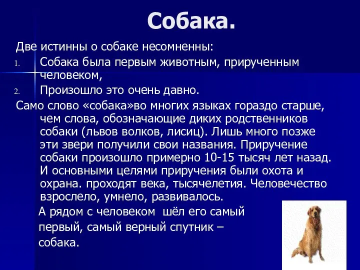 Собака. Две истинны о собаке несомненны: Собака была первым животным, прирученным