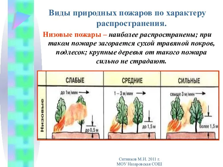 Виды природных пожаров по характеру распространения. Низовые пожары – наиболее распространены;