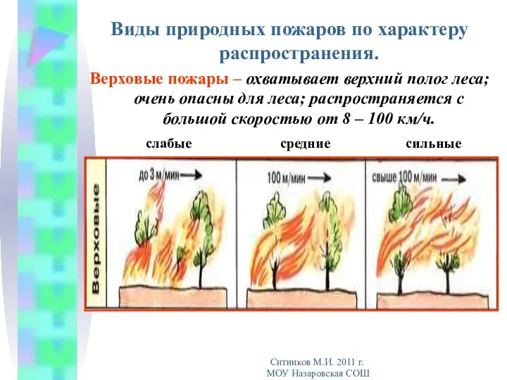 Виды природных пожаров по характеру распространения. Верховые пожары – охватывает верхний