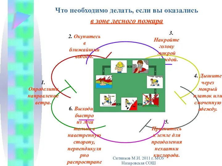 Что необходимо делать, если вы оказались в зоне лесного пожара Ситников