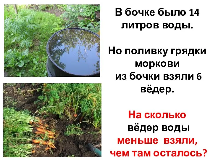 В бочке было 14 литров воды. Но поливку грядки моркови из