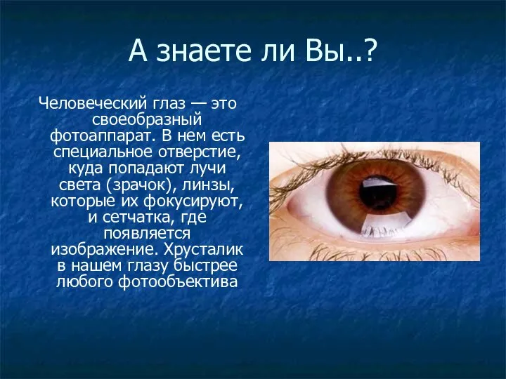 А знаете ли Вы..? Человеческий глаз — это своеобразный фотоаппарат. В