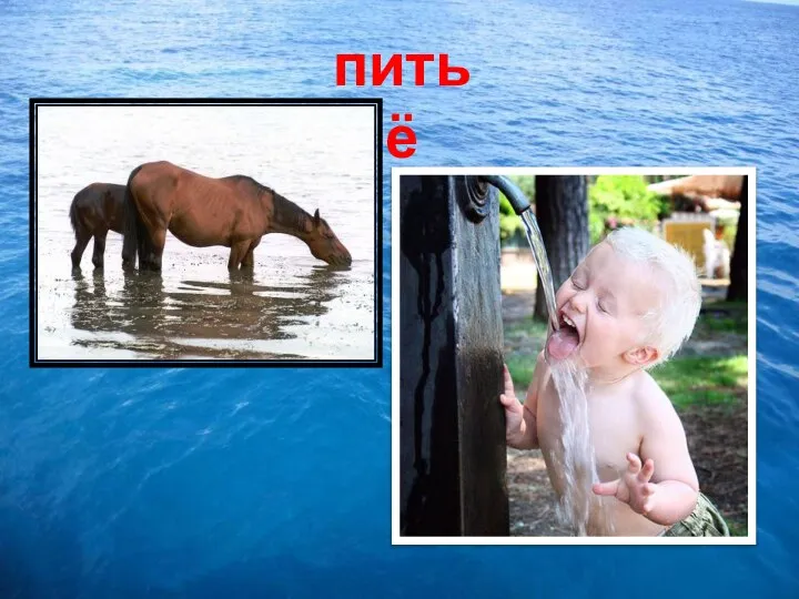 питьё