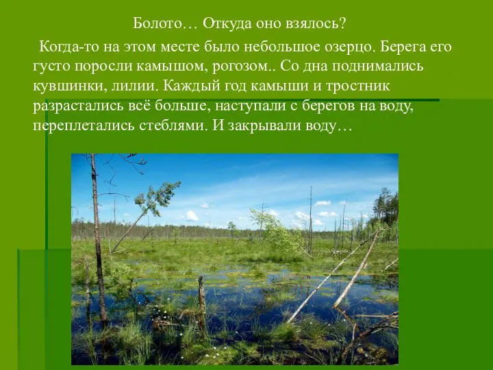 Болото… Откуда оно взялось? Когда-то на этом месте было небольшое озерцо.