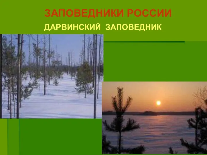 ЗАПОВЕДНИКИ РОССИИ ДАРВИНСКИЙ ЗАПОВЕДНИК