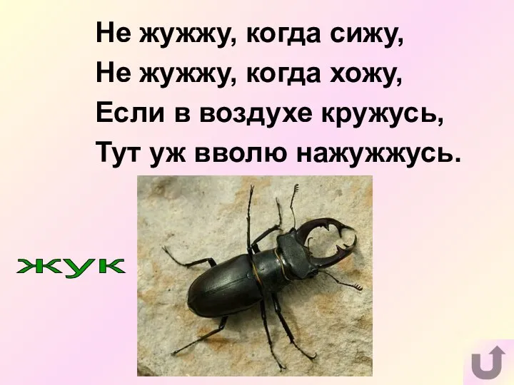 Не жужжу, когда сижу, Не жужжу, когда хожу, Если в воздухе