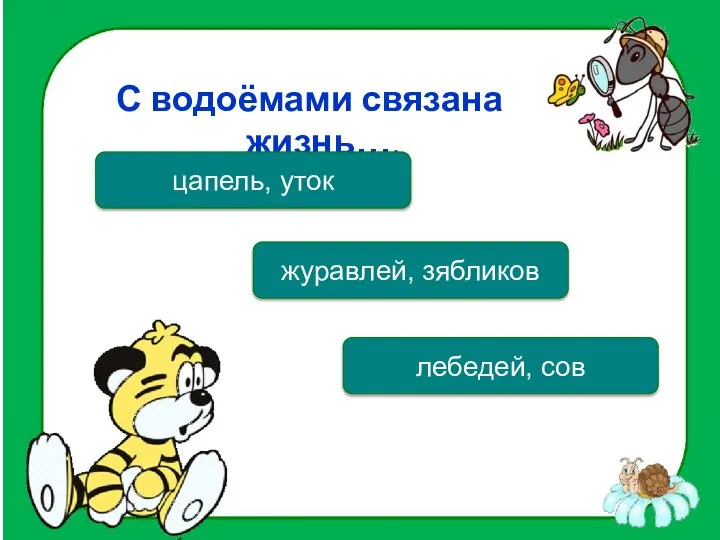 С водоёмами связана жизнь…. цапель, уток журавлей, зябликов лебедей, сов