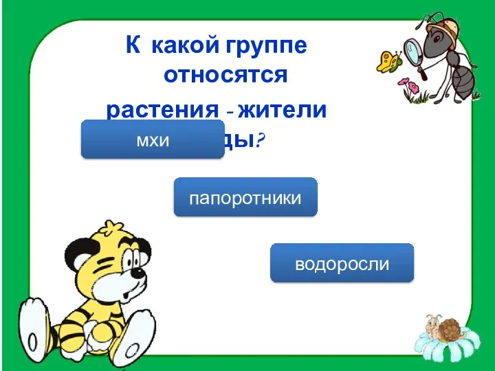 К какой группе относятся растения - жители воды? водоросли папоротники мхи