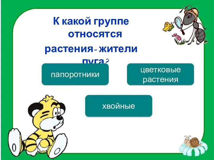 К какой группе относятся растения- жители луга? цветковые растения папоротники хвойные