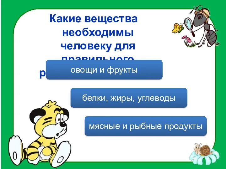 Какие вещества необходимы человеку для правильного развития организма? белки, жиры, углеводы