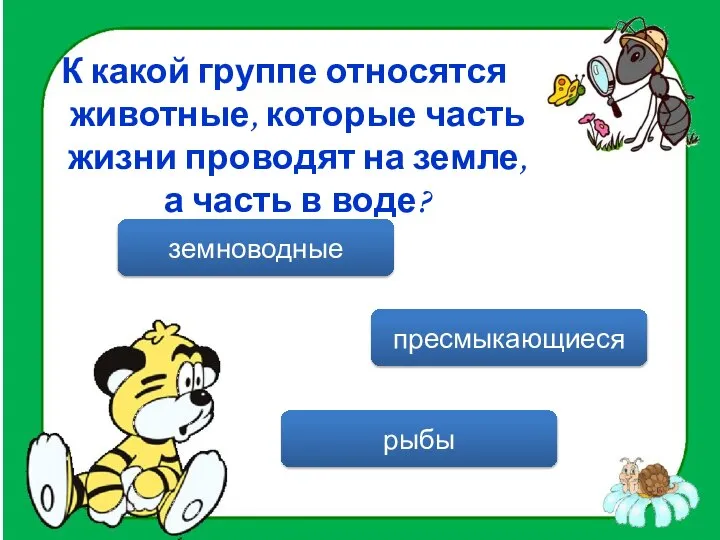 К какой группе относятся животные, которые часть жизни проводят на земле,