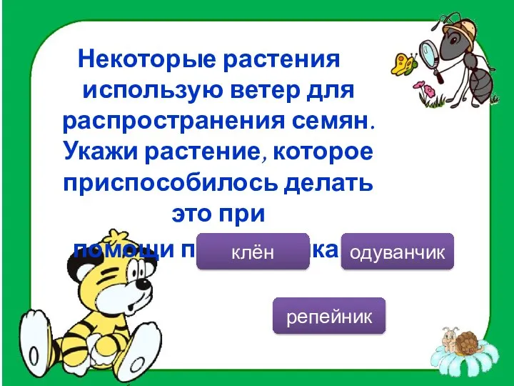 Некоторые растения использую ветер для распространения семян. Укажи растение, которое приспособилось