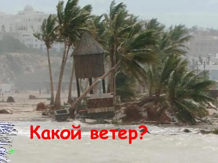 Какой ветер?