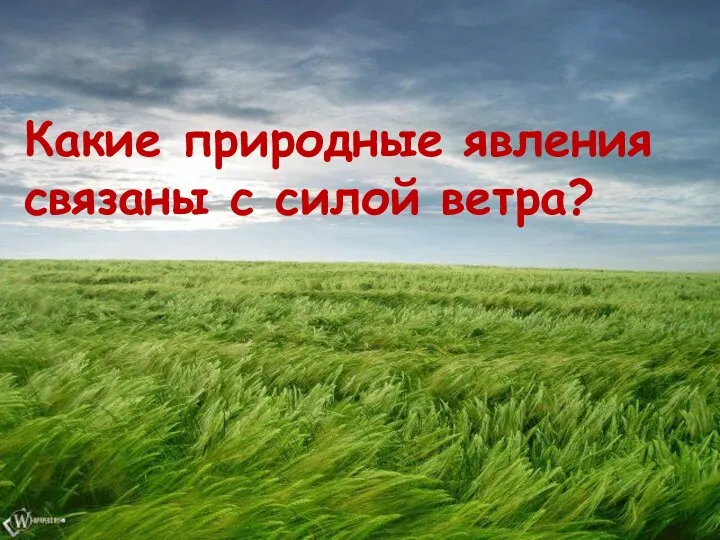 Какие природные явления связаны с силой ветра?