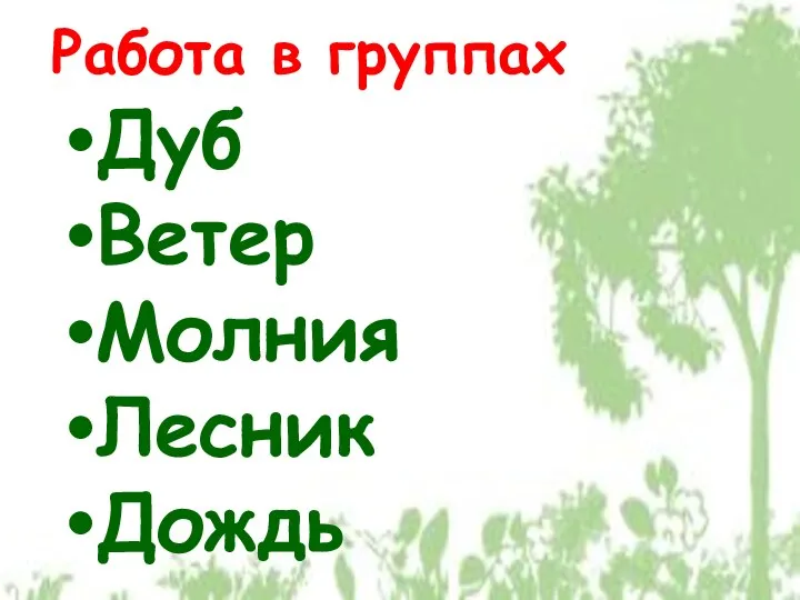 Работа в группах Дуб Ветер Молния Лесник Дождь