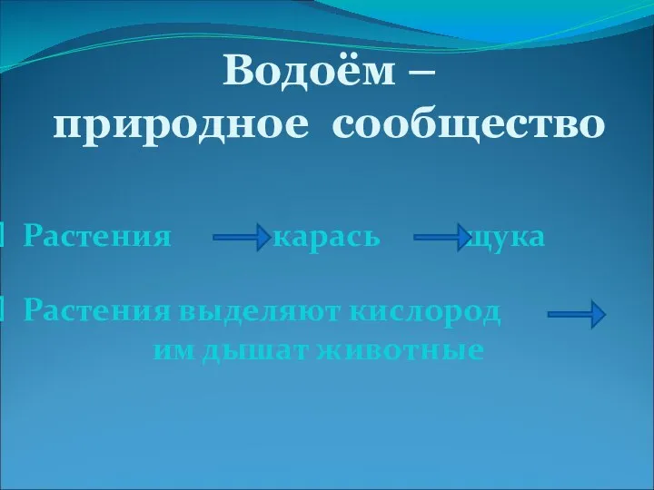 Водоём – природное сообщество Растения карась щука Растения выделяют кислород им дышат животные