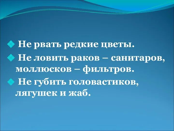 Не рвать редкие цветы. Не ловить раков – санитаров, моллюсков –