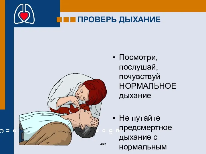 ПРОВЕРЬ ДЫХАНИЕ Посмотри, послушай, почувствуй НОРМАЛЬНОЕ дыхание Не путайте предсмертное дыхание с нормальным