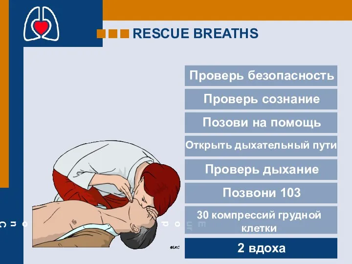 RESCUE BREATHS Проверь безопасность Проверь сознание Позови на помощь Проверь дыхание