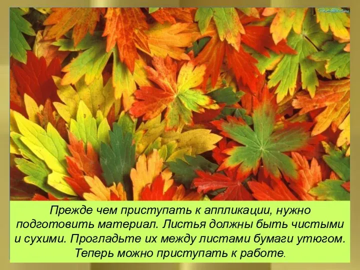 Прежде чем приступать к аппликации, нужно подготовить материал. Листья должны быть