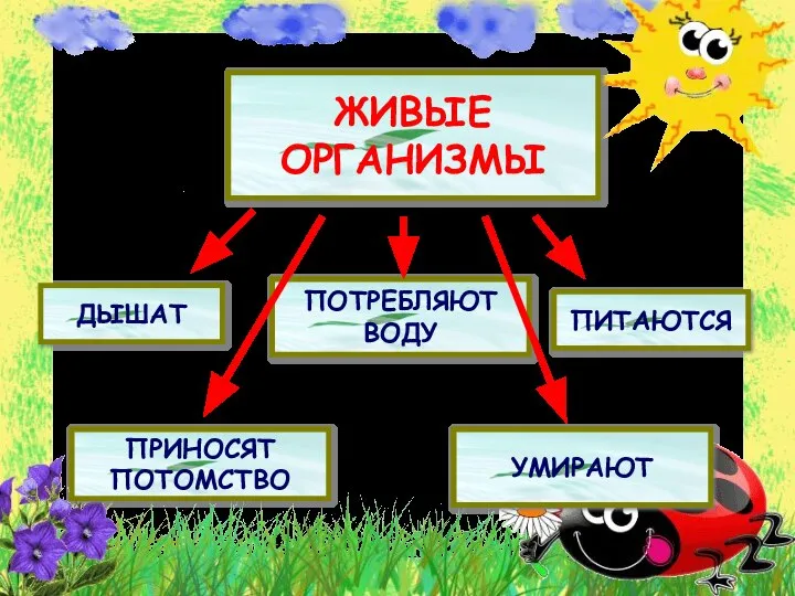 ЖИВЫЕ ОРГАНИЗМЫ ДЫШАТ ПОТРЕБЛЯЮТ ВОДУ ПИТАЮТСЯ ПРИНОСЯТ ПОТОМСТВО УМИРАЮТ