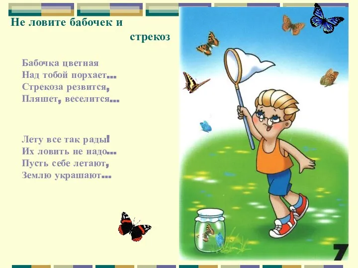 Не ловите бабочек и стрекоз Бабочка цветная Над тобой порхает… Стрекоза