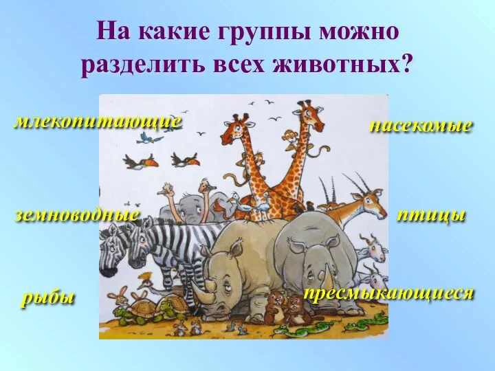 На какие группы можно разделить всех животных? млекопитающие птицы рыбы насекомые земноводные пресмыкающиеся