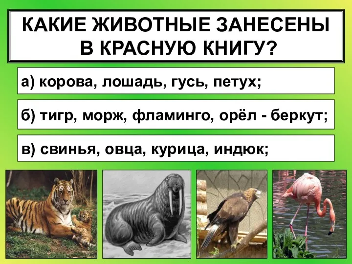 КАКИЕ ЖИВОТНЫЕ ЗАНЕСЕНЫ В КРАСНУЮ КНИГУ? а) корова, лошадь, гусь, петух;