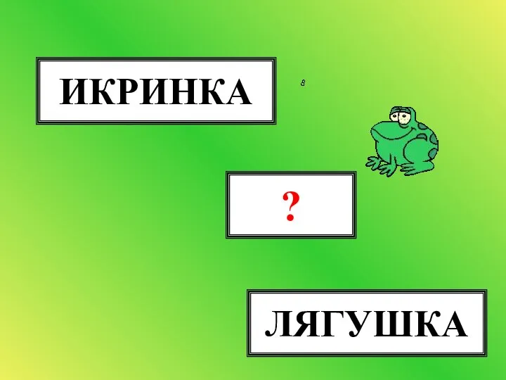 ИКРИНКА ЛЯГУШКА ГОЛОВАСТИК ?