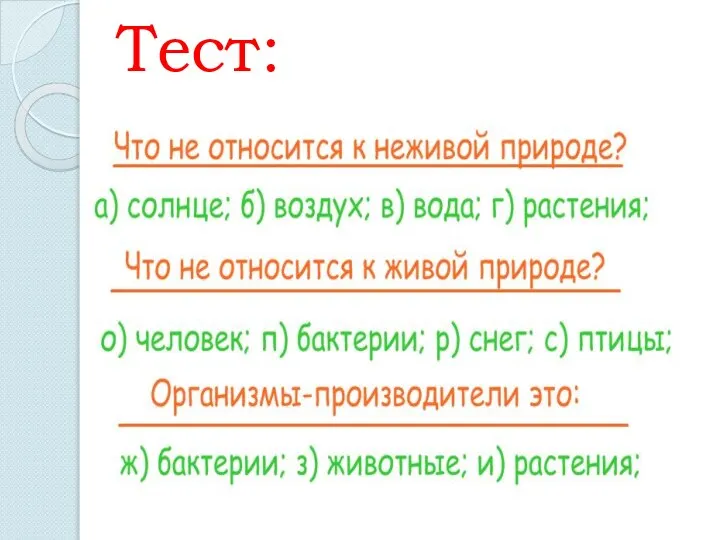 Тест: