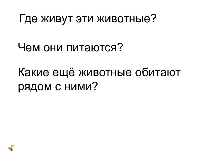 Где живут эти животные? Чем они питаются? Какие ещё животные обитают рядом с ними?