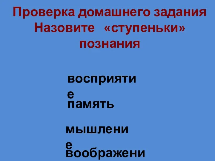 Проверка домашнего задания Назовите «ступеньки» познания восприятие память мышление воображение