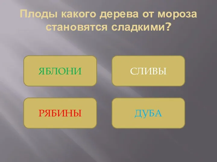 Плоды какого дерева от мороза становятся сладкими? ДУБА СЛИВЫ ЯБЛОНИ РЯБИНЫ