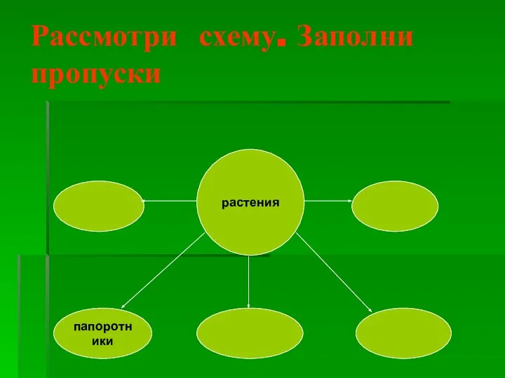 Рассмотри схему. Заполни пропуски растения папоротники