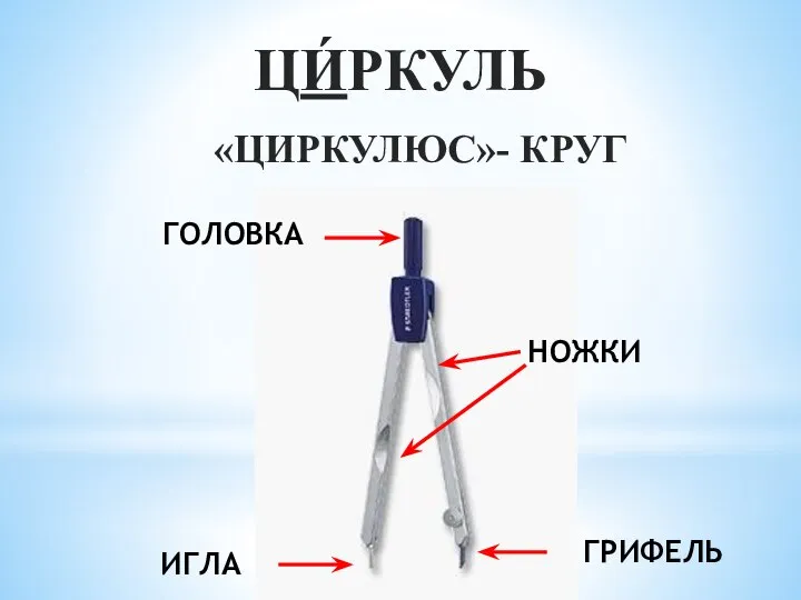 Ци́ркуль «циркулюс»- круг ГОЛОВКА НОЖКИ ГРИФЕЛЬ ИГЛА