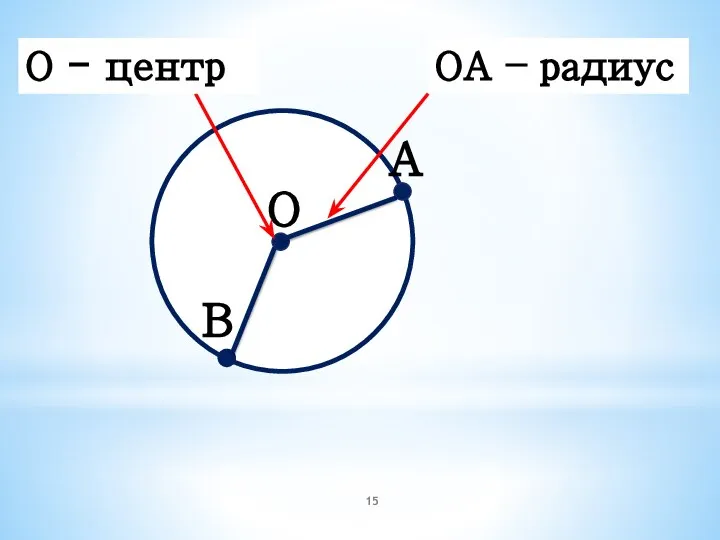 О А В ОА – радиус О - центр