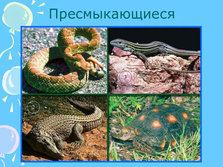 Пресмыкающиеся