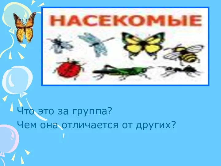 Насекомые Что это за группа? Чем она отличается от других?