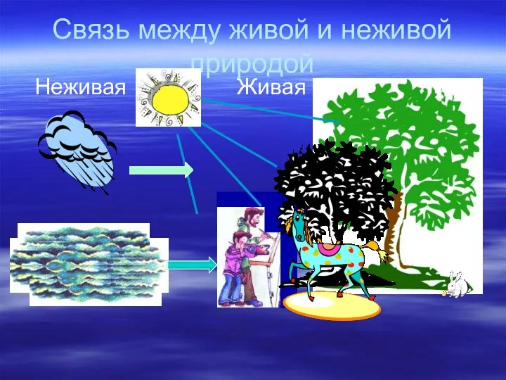 Связь между живой и неживой природой Неживая Живая