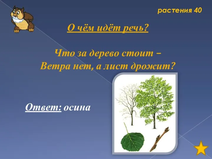 растения 40 О чём идёт речь? Что за дерево стоит –