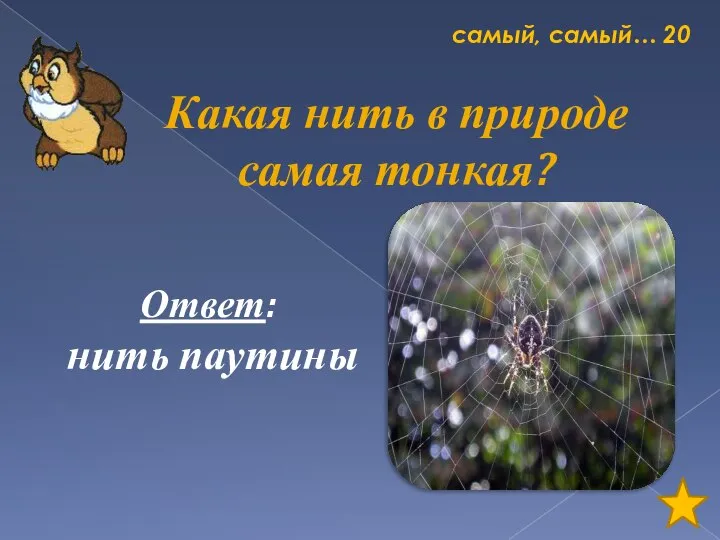 самый, самый… 20 Какая нить в природе самая тонкая? Ответ: нить паутины