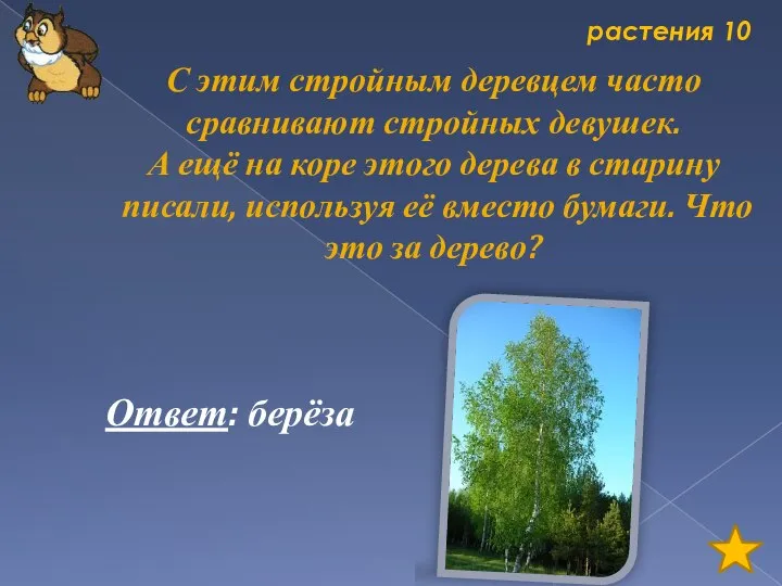 растения 10 С этим стройным деревцем часто сравнивают стройных девушек. А