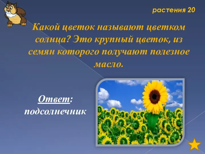 растения 20 Какой цветок называют цветком солнца? Это крупный цветок, из