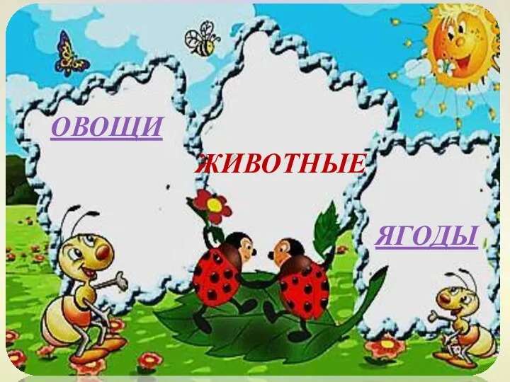 животные овощи ягоды