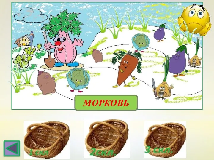 МОРКОВЬ