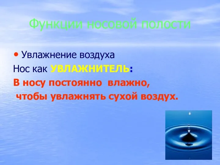 Функции носовой полости Увлажнение воздуха Нос как УВЛАЖНИТЕЛЬ: В носу постоянно влажно, чтобы увлажнять сухой воздух.