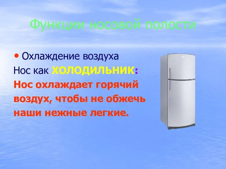 Функции носовой полости Охлаждение воздуха Нос как ХОЛОДИЛЬНИК: Нос охлаждает горячий